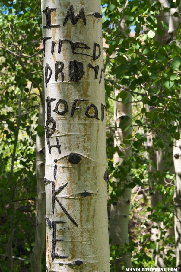 Aspen Graffiti