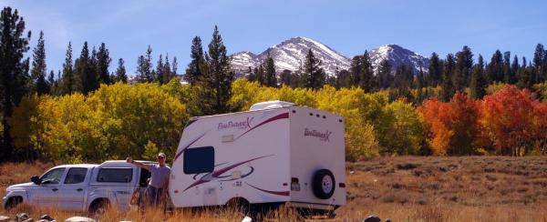 Aspens, Eastern Sierra, Sept. 2013