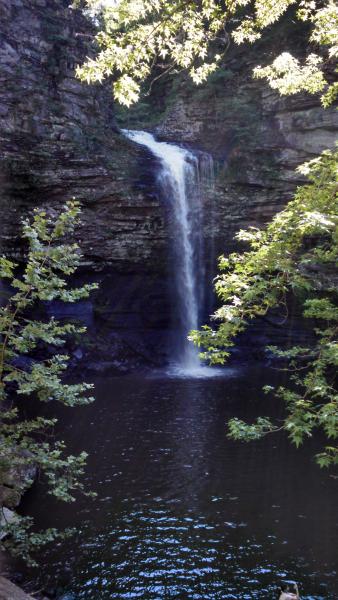 At Cedar Falls SP