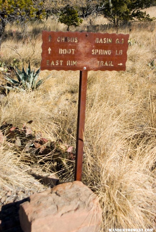 At the South Rim