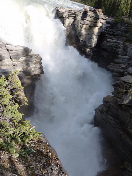 Athabasca Falls