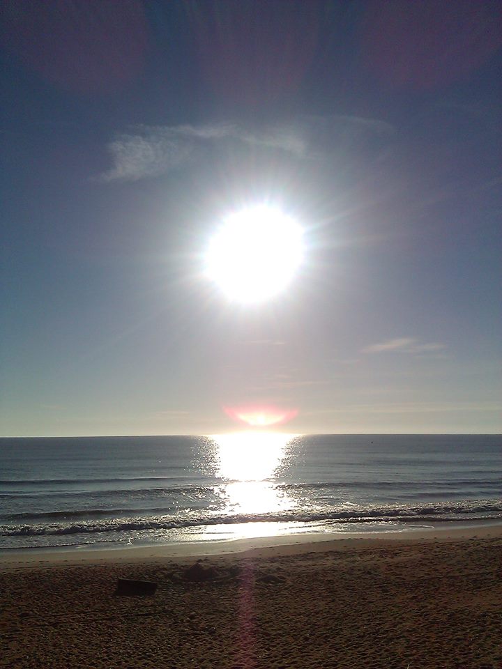 Aug 2013 Gamble Rogers State Rec Area Flagler Beach FL