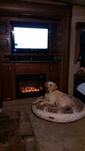 Bailey in front of fireplace 9/8/13