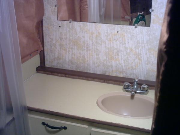 bathroom counter before