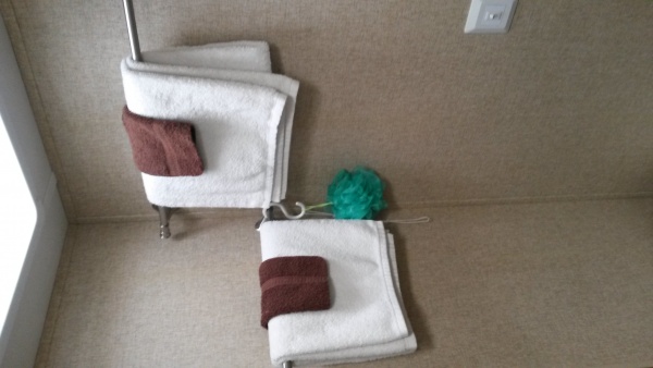 Bathroom Towel Holders