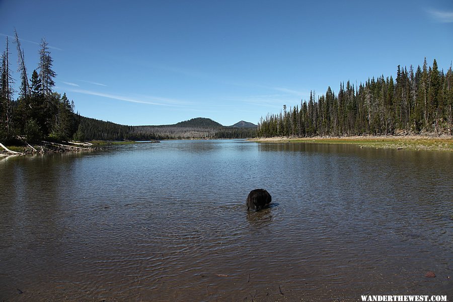 Beach at Little Fawn Campground