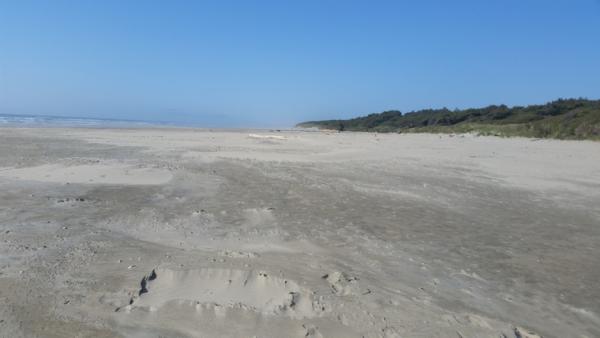 Beachside looking North