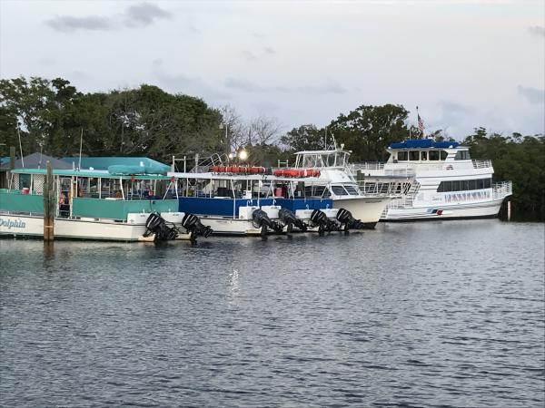 Beautiful boat harbor