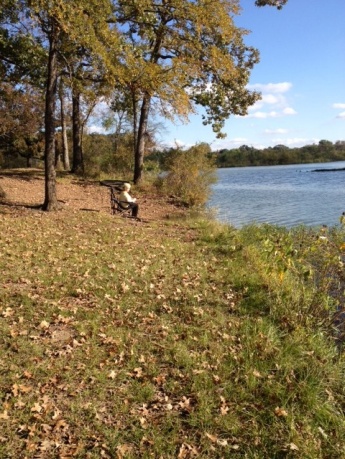 Beautiful Fishing Weather