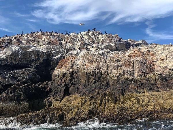 Beautiful scenery around Bass Harbor