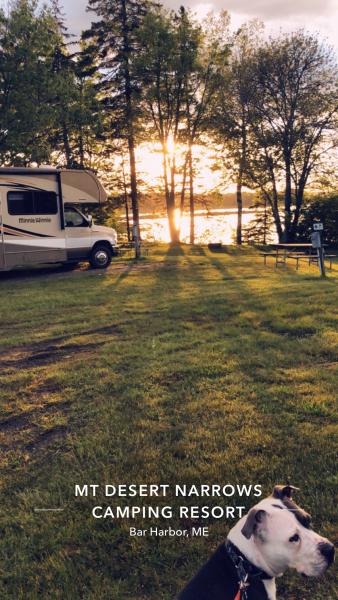 Beautiful views, on the water, right from the campground.