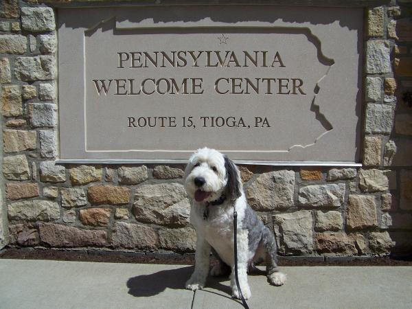 Bentley at the rest area