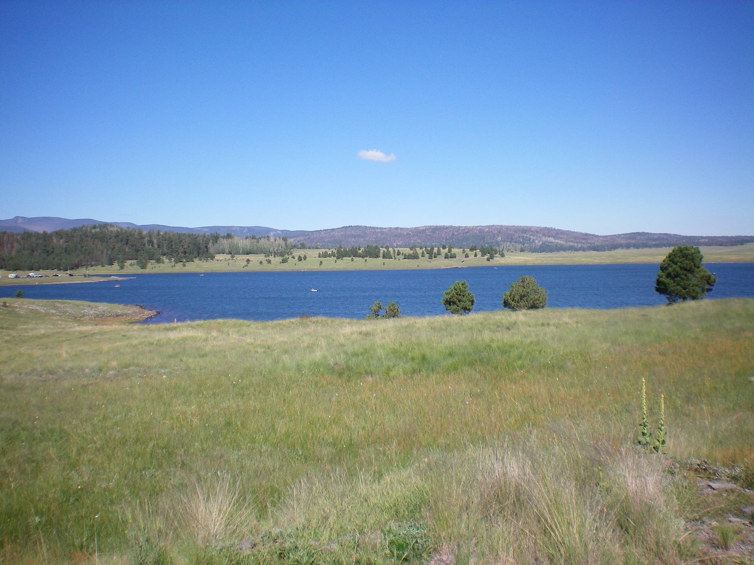 Big Lake - Apache - Sitgreaves N.F. Arizona.