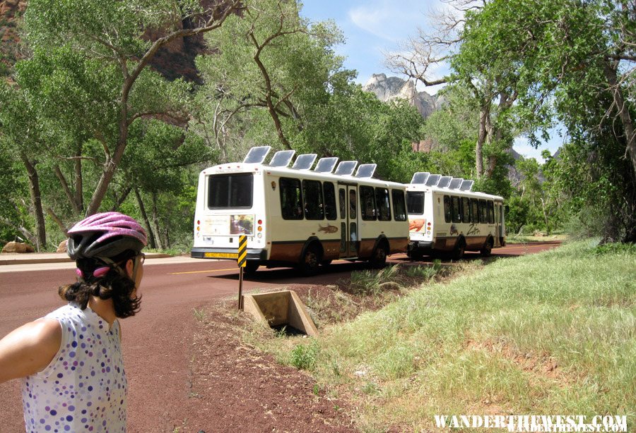 Biking Zion Canyon