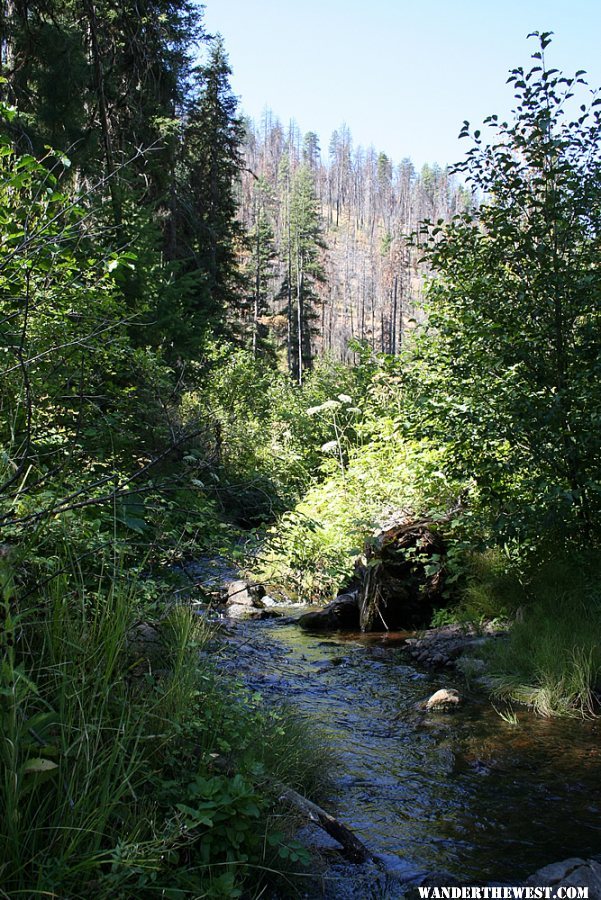 Black Canyon Trail - Ochoco Mountains