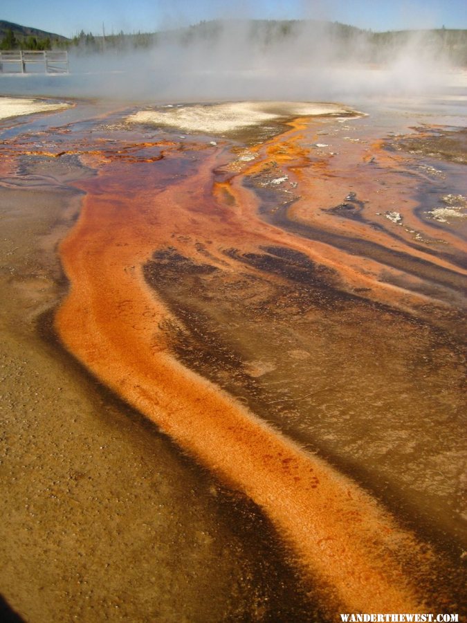 Black Sand Geyser Basin