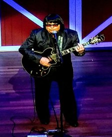 Blue Angel a Roy Orbison Tribute ...Terry Harris