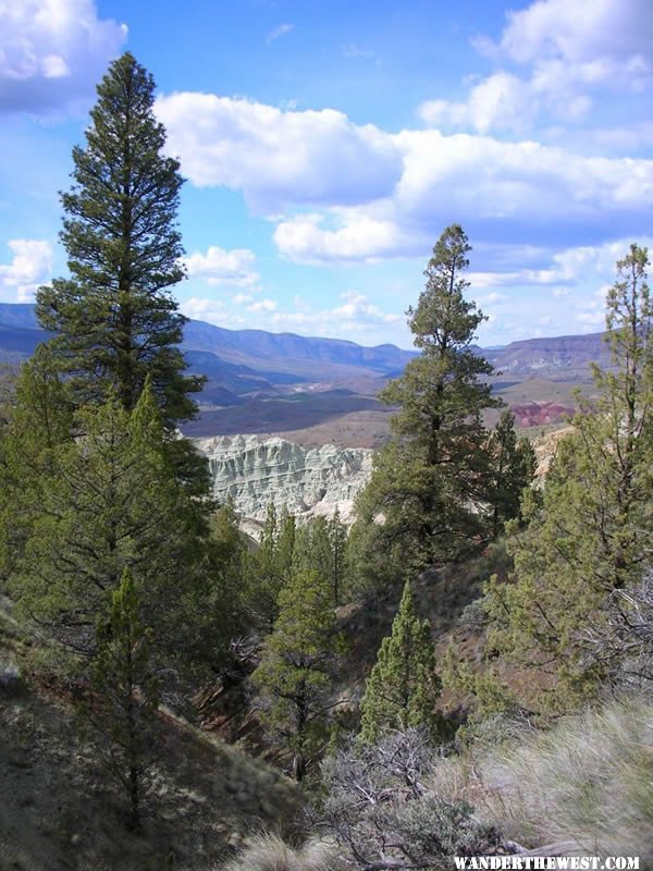 Blue Basin Overlook Trail