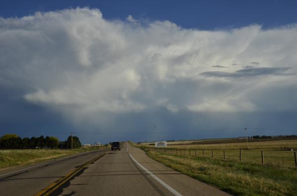 Blue skies and Thunderstorms frequent the Colorado Plains

©Ray Hanson, All Rights Reserved