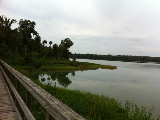 Boardwalk