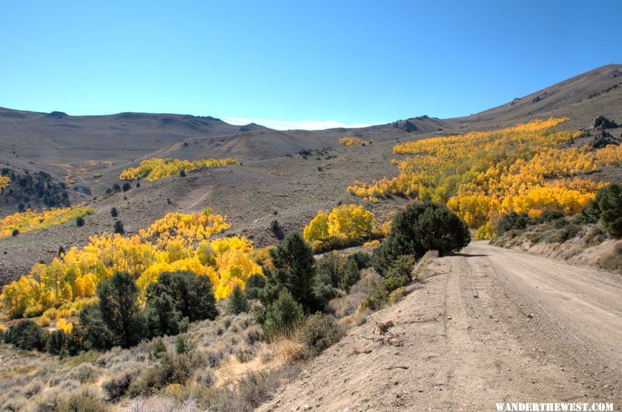 Bodie Hills Aspen