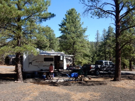 Bonito Campground near Sunset Crater