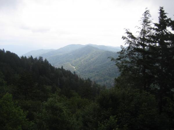 Border of NC and TN in the Smoky's