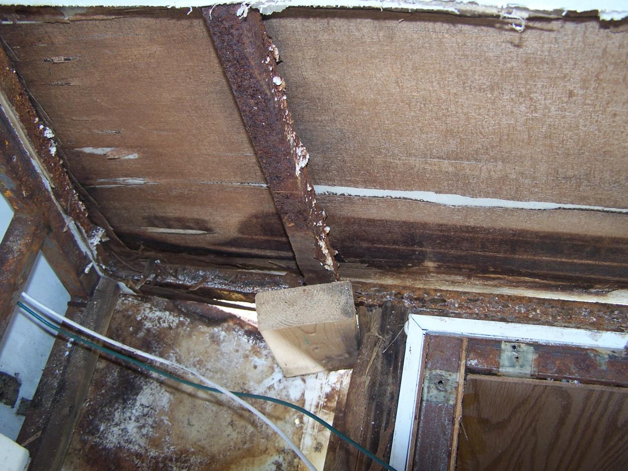 both front corners & along lower front wall was partly rotted & will need replaced --