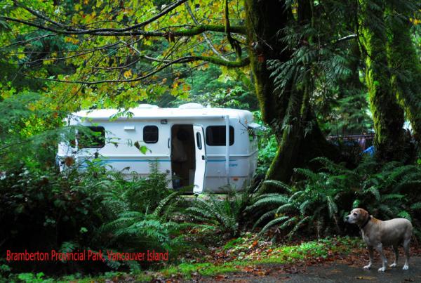 Bramberton Provincial Park, Vancouver Island