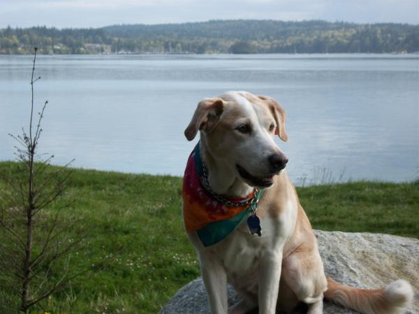 Britt at Indian Island.