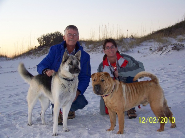 Brutis and Brandy enjoying the beach in FL.