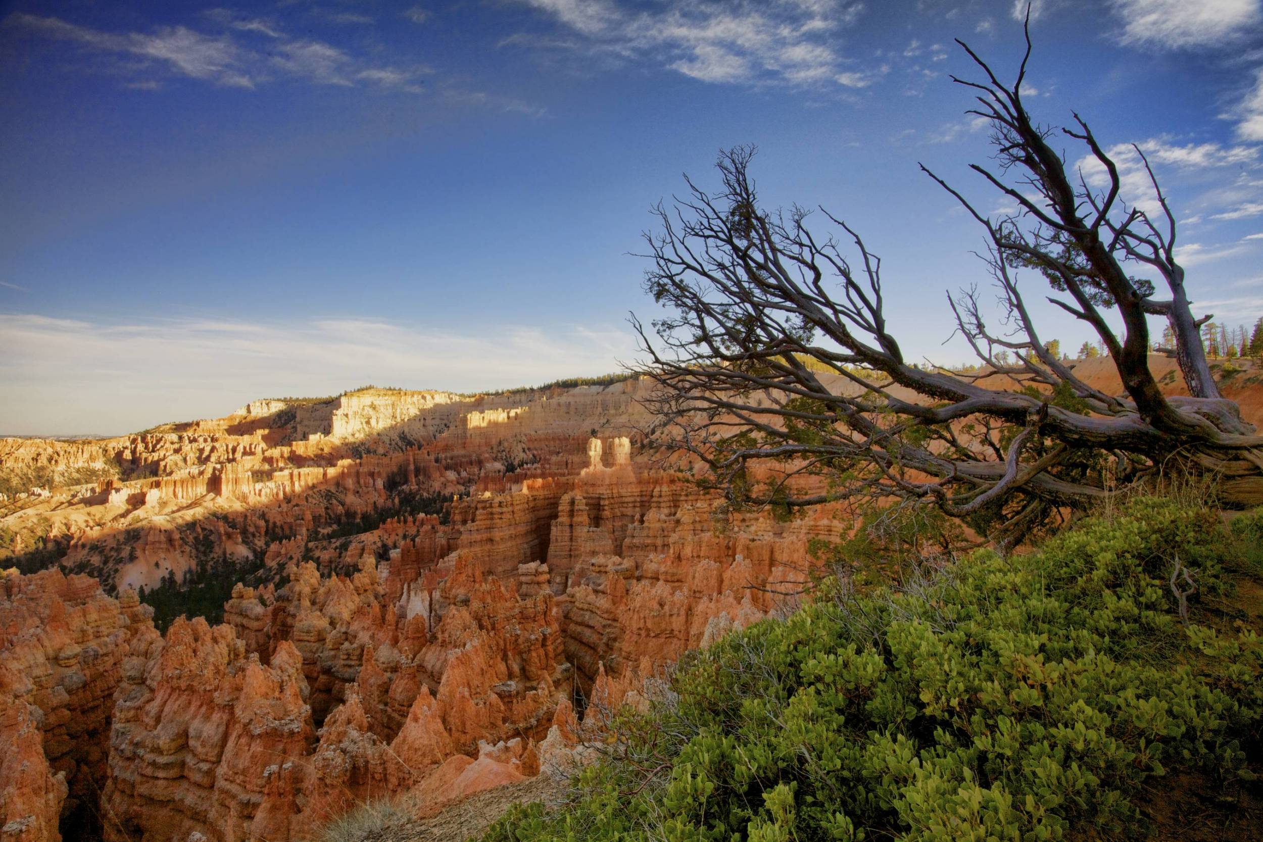 Bryce Canyon Evening Hike