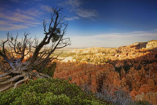 Bryce Canyon, UT