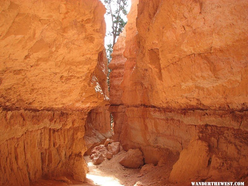 Bryce Canyon