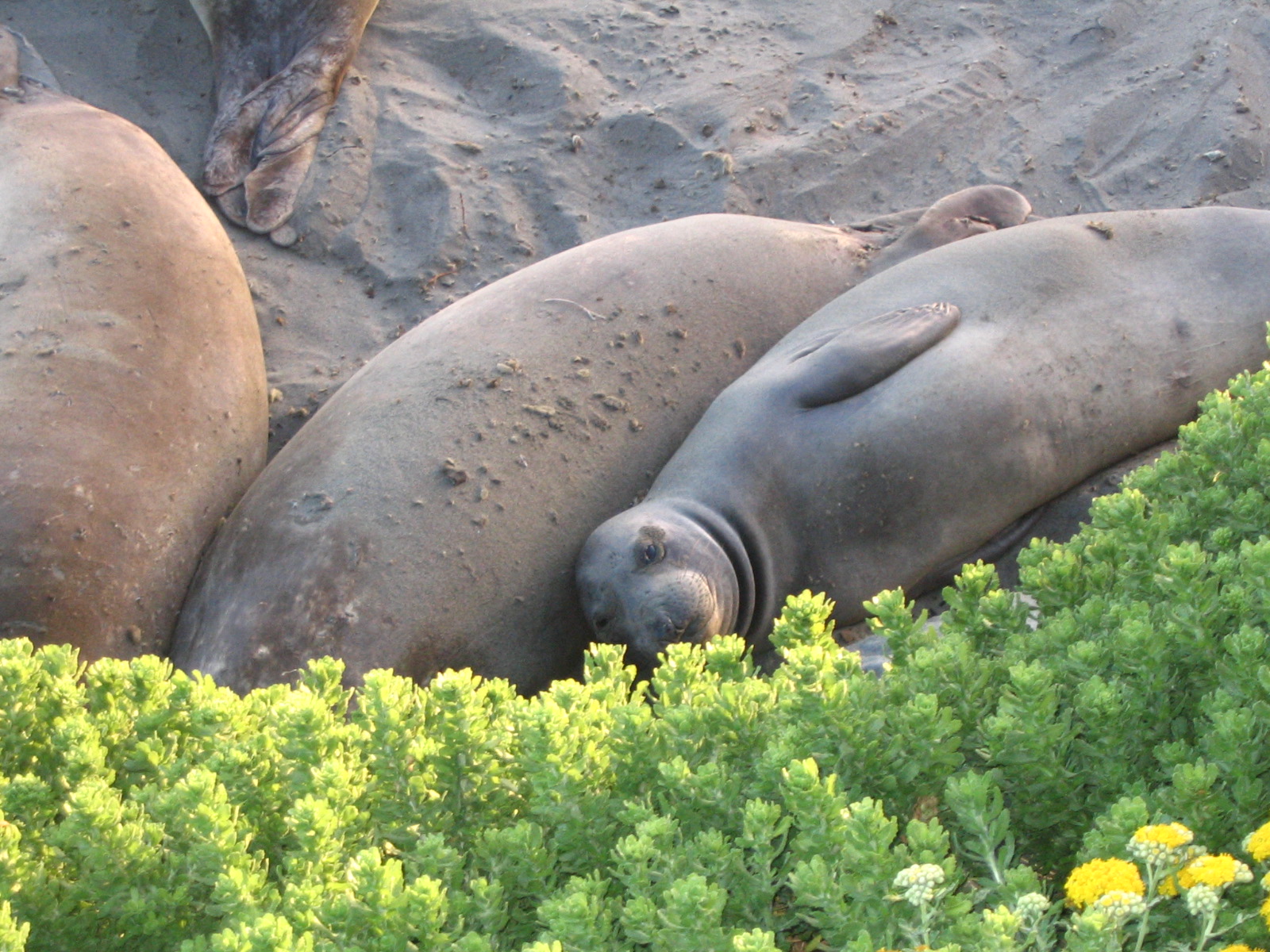 California Coast