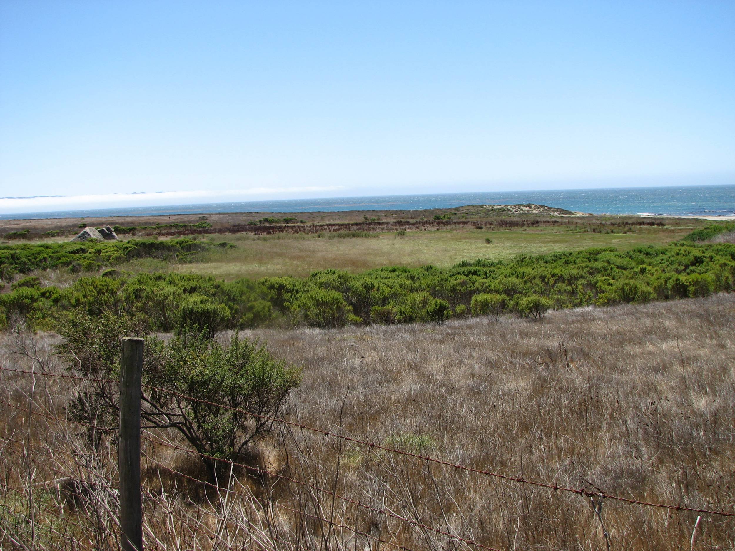 California Coast