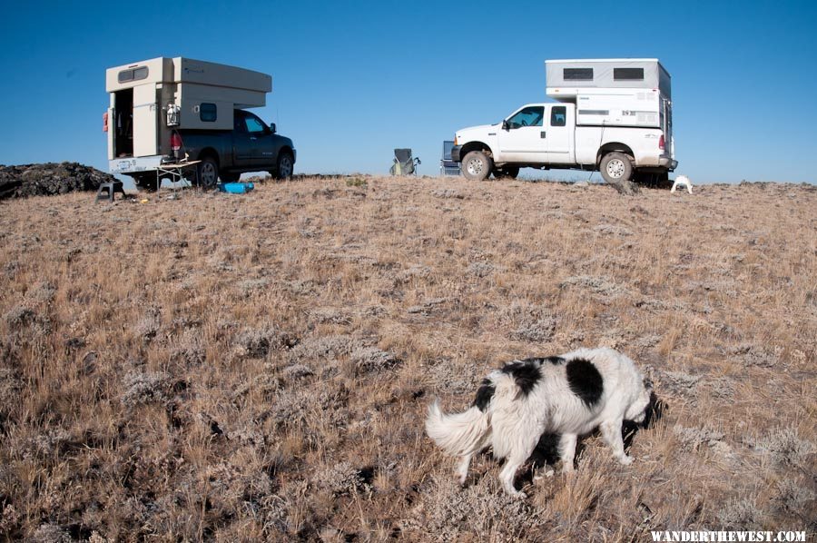 Camp-Morning on Top of the Rim (with camp-dog)