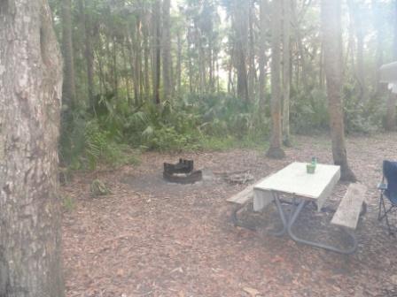 Camp Site