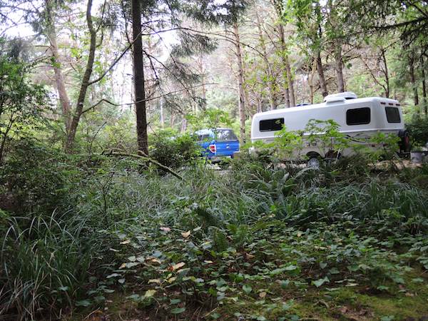 Camped at Charles G. Washburn SP, south of Yachats OR. 10.06.2015