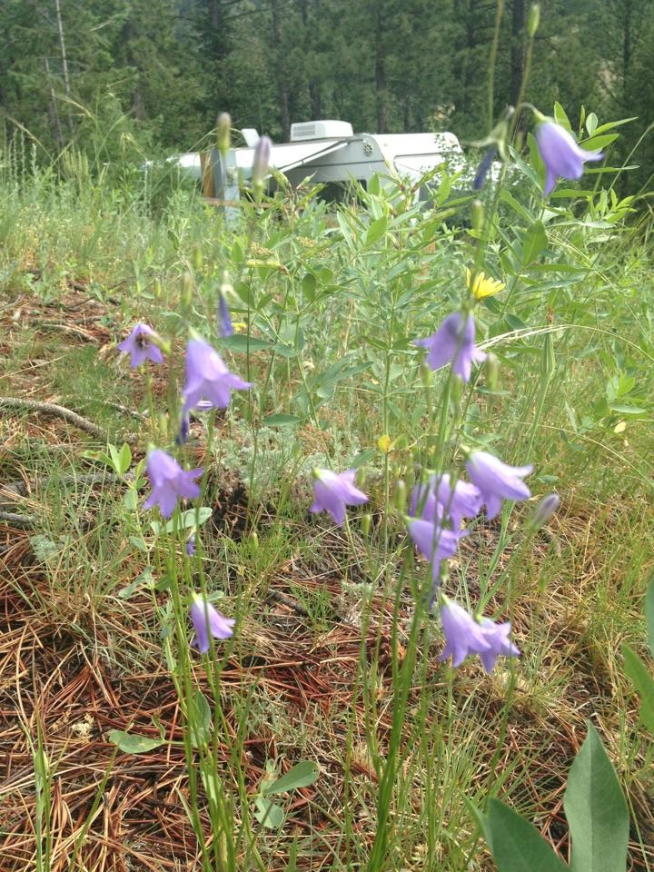 Camper on our Property in Northern Colorado