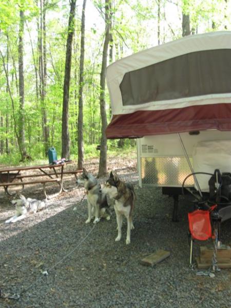 Camping at Bull Run Campground, Manassas, VA