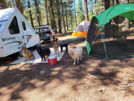 camping buds, Please pick up after yourself and your dogs. Even when boondocking .The next person camping their will thank you. I hope they will do th