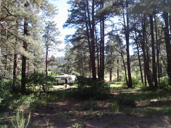 Camping in Pagosa