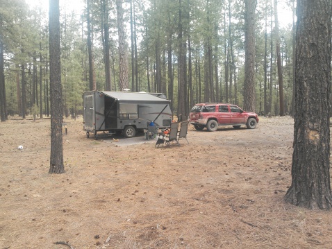 camping on the rim in az.