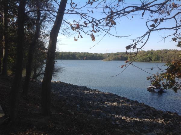 Campsite overlooking Rend Lake