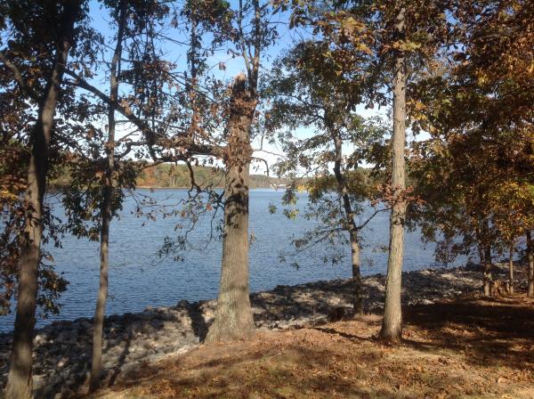 Campsites have awesome views overlooking the Lake.