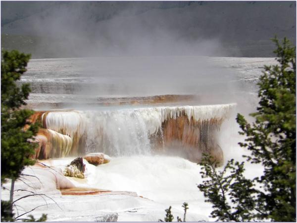 canary falls, Yellowstone