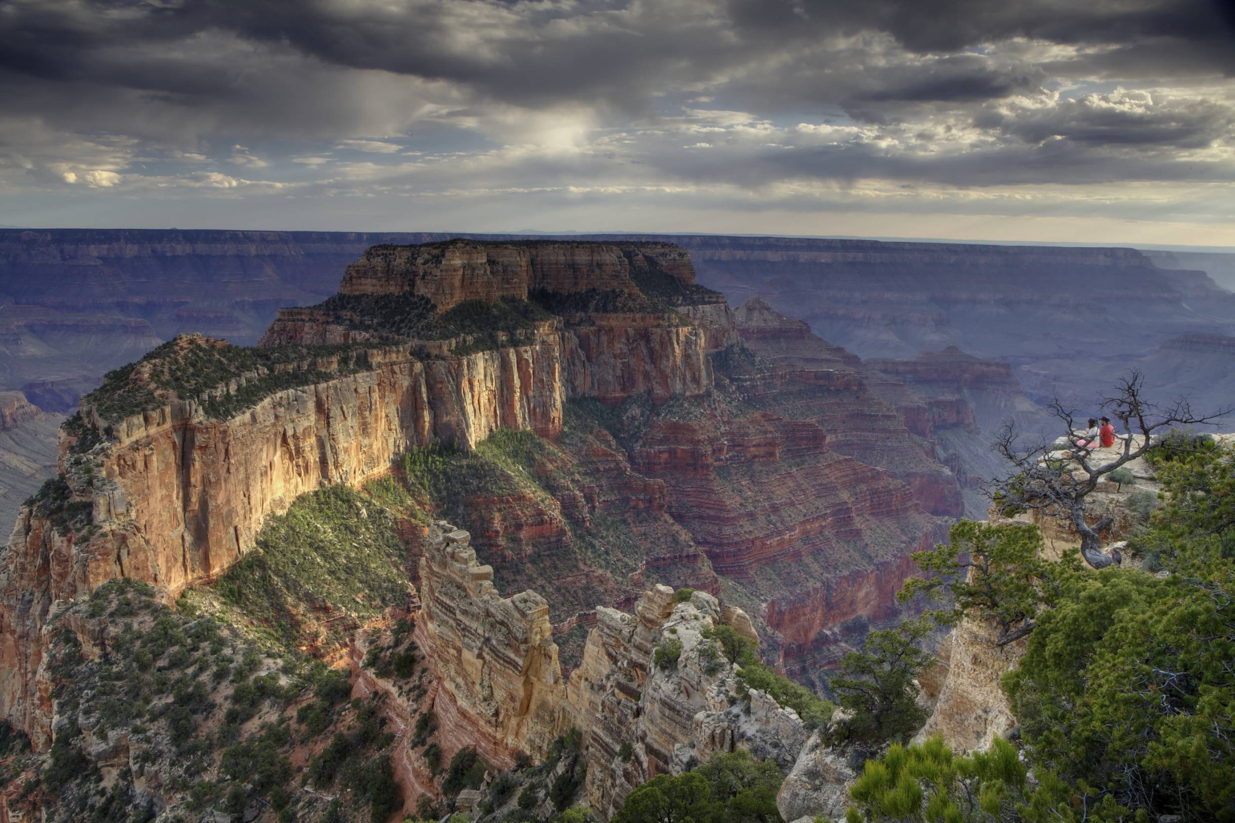 Cape Royal Evening, North Rim, Grand Canyon NP