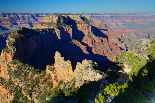 Cape Royal Morning, North Rim, Grand Canyon