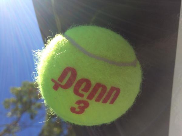 Capped the rain gutters with a tennis ball before covering the trailer for the winter!